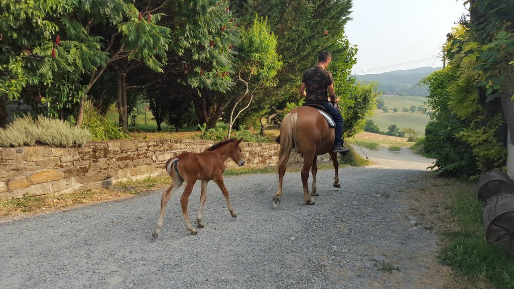 Agriturismo Corte Del Gallo Ривергаро Экстерьер фото